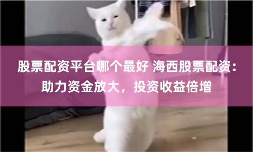 股票配资平台哪个最好 海西股票配资：助力资金放大，投资收益倍增