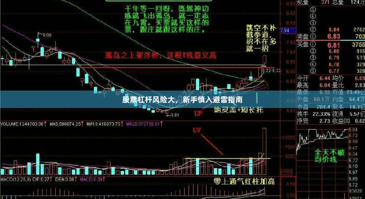股票杠杆风险大，新手慎入避雷指南